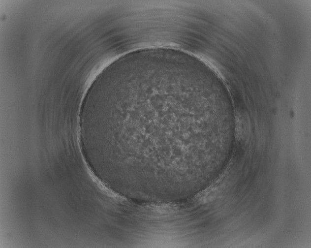 X0000070400895200606231759