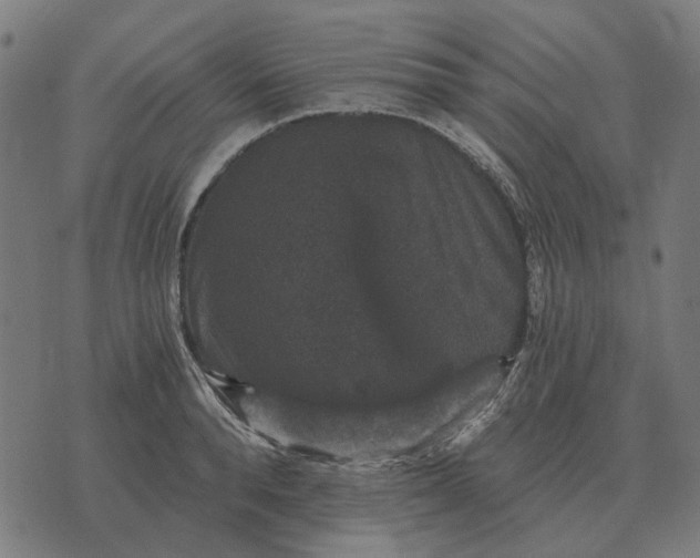 X0000070400896200606231759