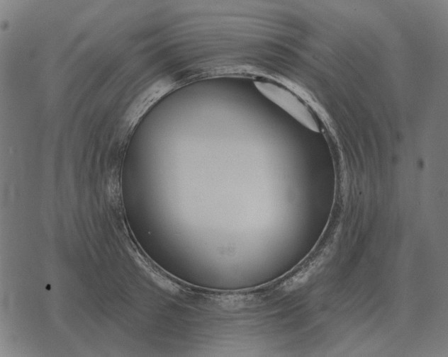 X0000070400897200606231759