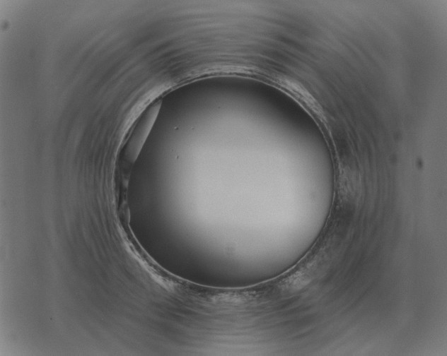 X0000070400898200606231759