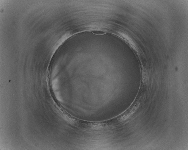 X0000070400899200606231759