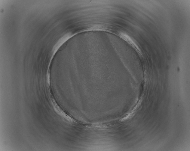 X0000070400900200606231759