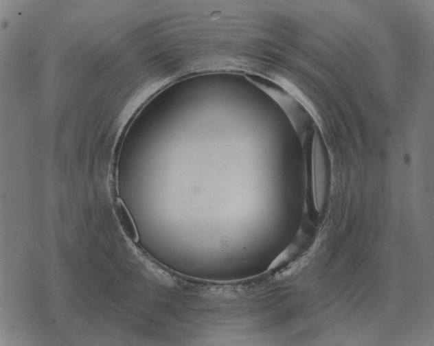 X0000070400901200606231759