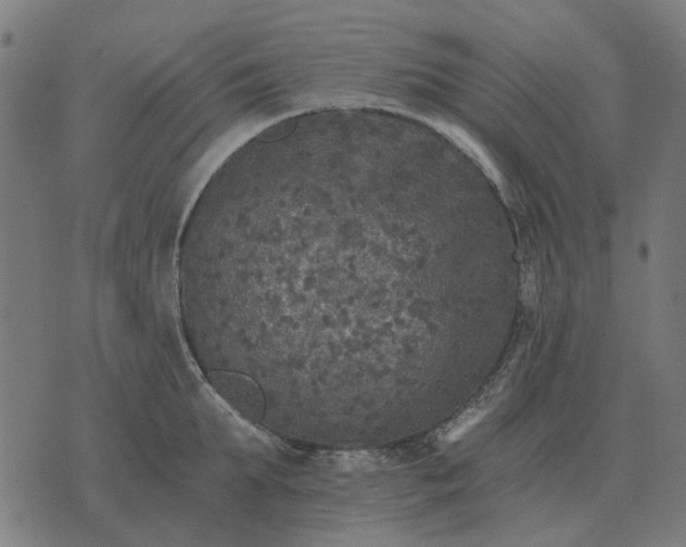 X0000070400903200606231759