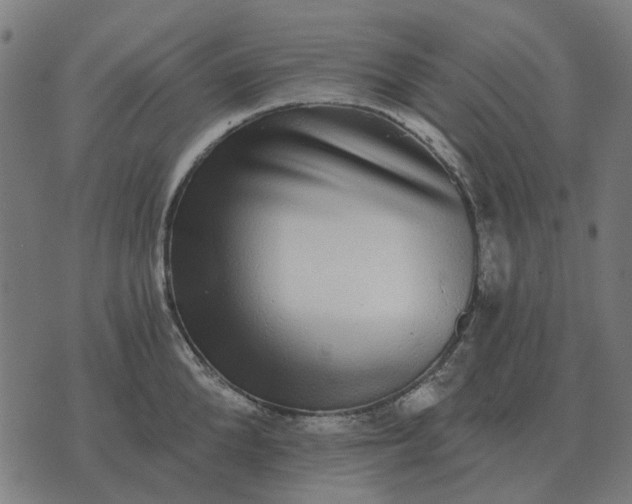 X0000070400904200606231759