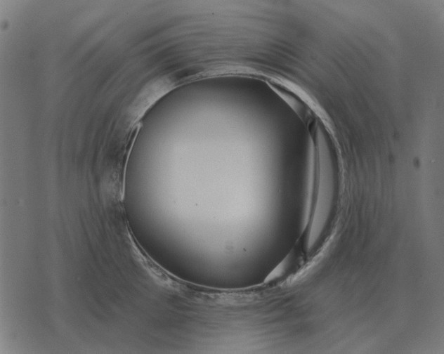 X0000070400905200606231759