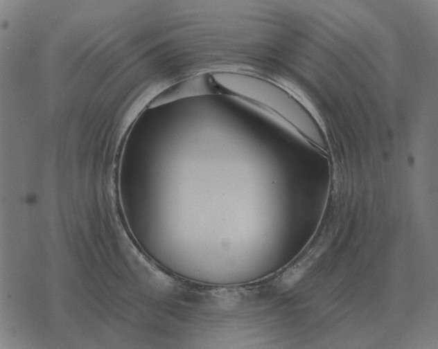 X0000070400906200606231759