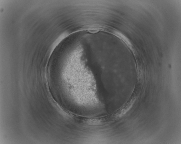 X0000070400907200606231759