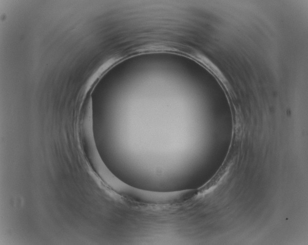 X0000070400909200606231759