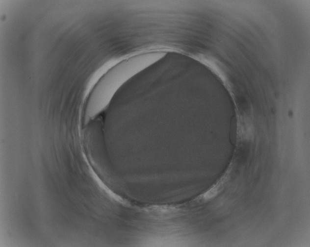 X0000070400910200606231759