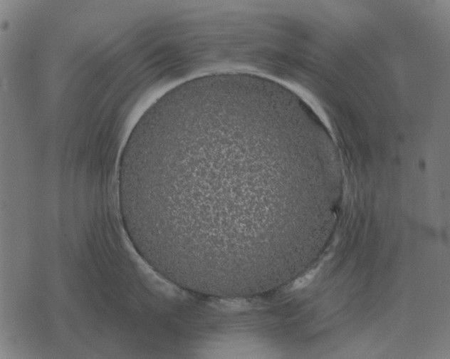 X0000070400911200606231759