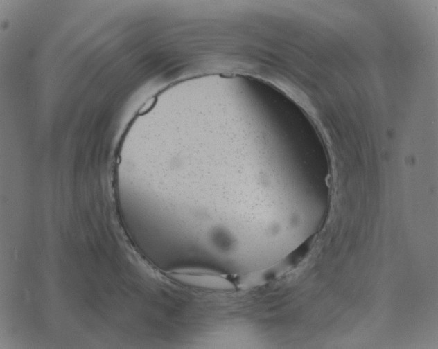 X0000070400912200606231759