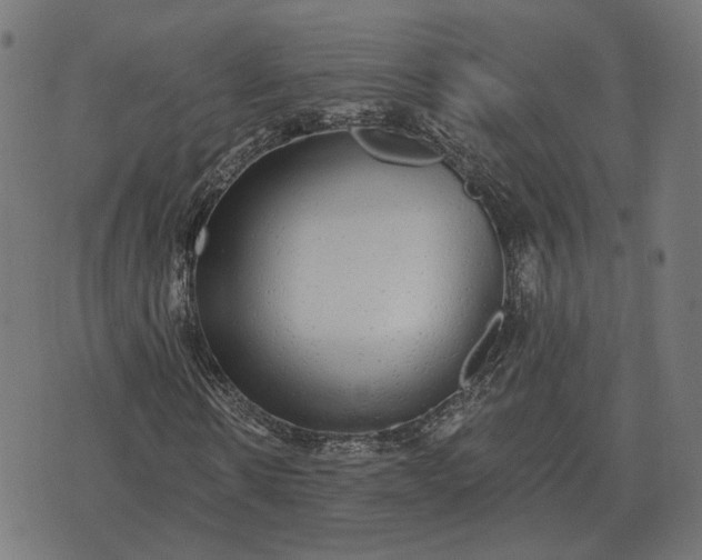 X0000070400914200606231758