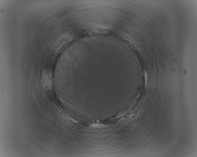 X0000070400915200606231758