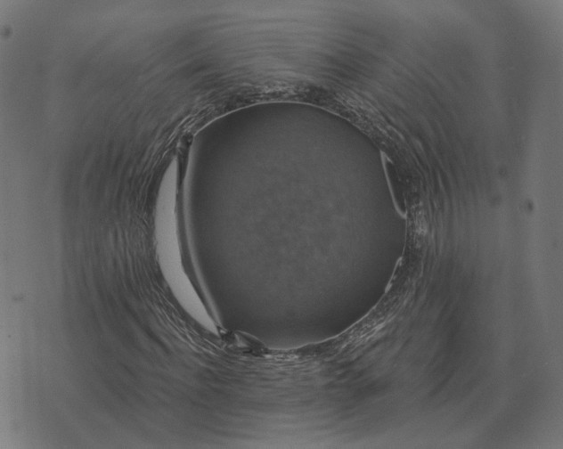 X0000070400916200606231758