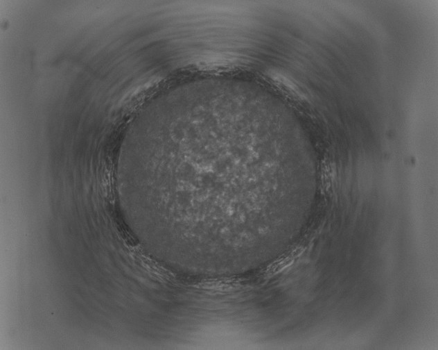 X0000070400917200606231758