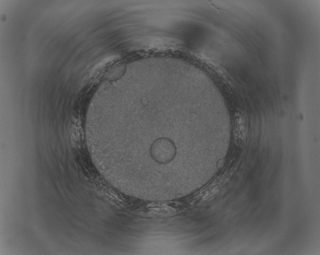 X0000070400918200606231758