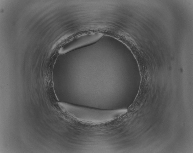 X0000070400920200606231758