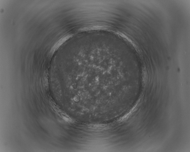 X0000070400921200606231758