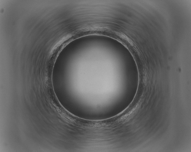 X0000070400922200606231758