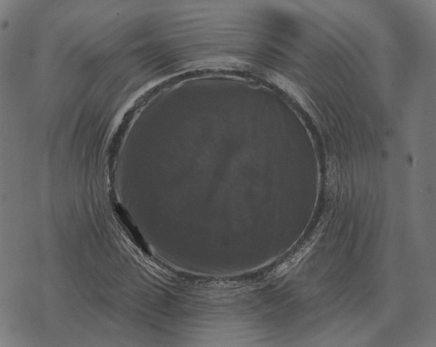 X0000070400923200606231759