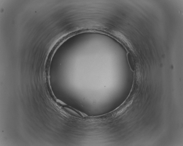 X0000070400924200606231759