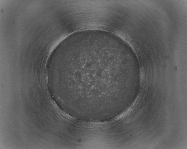 X0000070400925200606231759