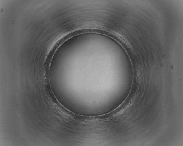 X0000070400926200606231759