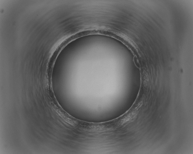 X0000070400927200606231759