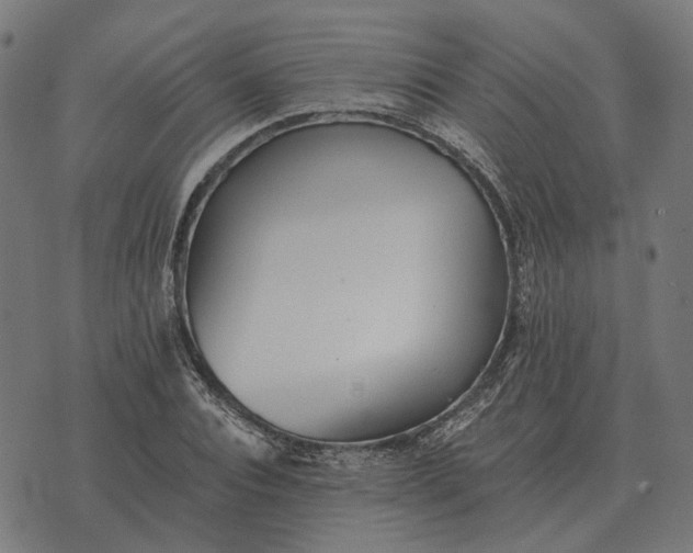 X0000070400928200606231759