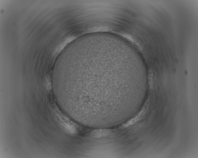 X0000070400929200606231759