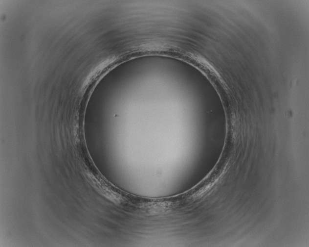 X0000070400930200606231759