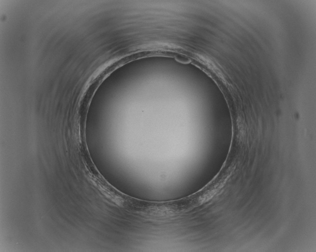 X0000070400931200606231759