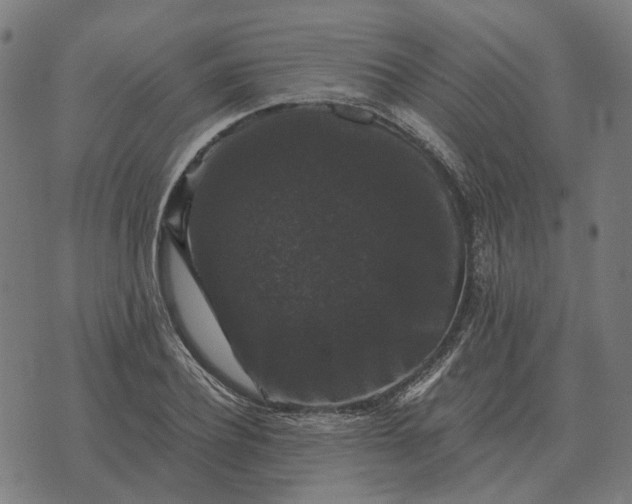 X0000070400932200606231759