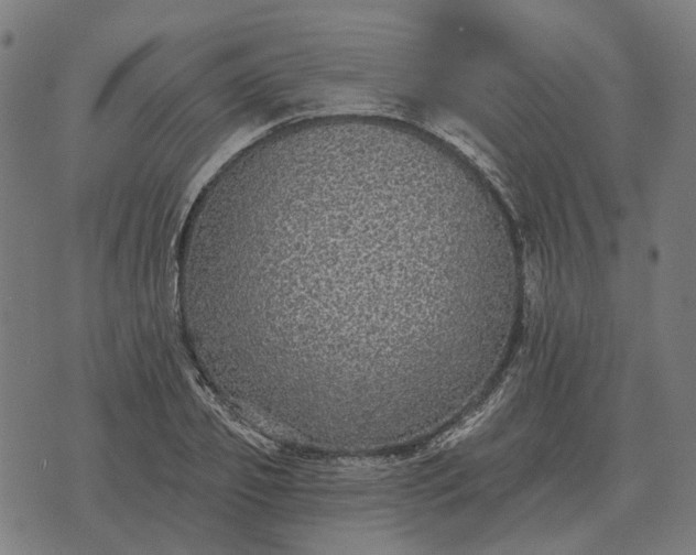 X0000070400933200606231759