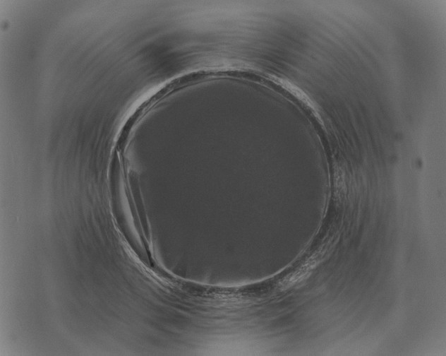 X0000070400935200606231759