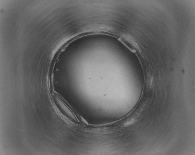 X0000070400936200606231759