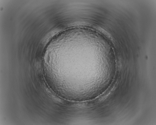 X0000070400937200606231759