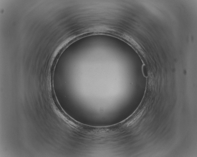 X0000070400939200606231759