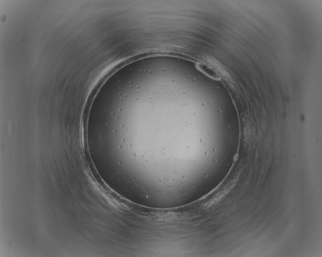 X0000070400940200606231759