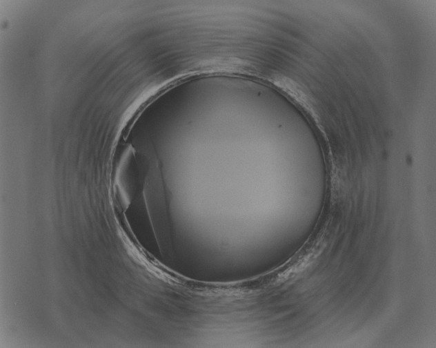 X0000070400941200606231759