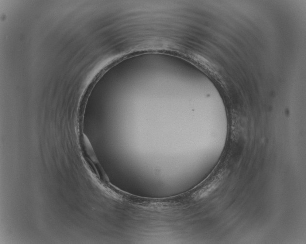 X0000070400942200606231759