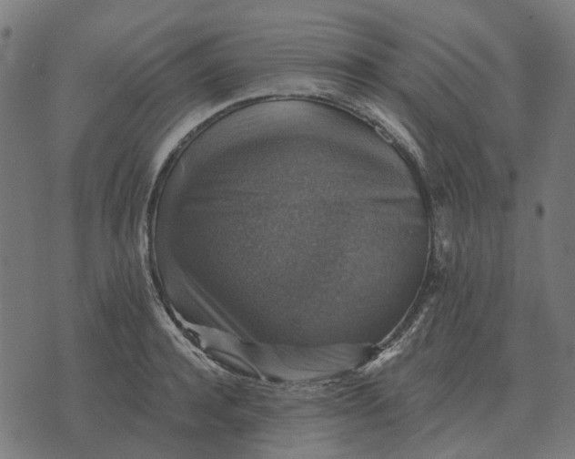 X0000070400944200606231759