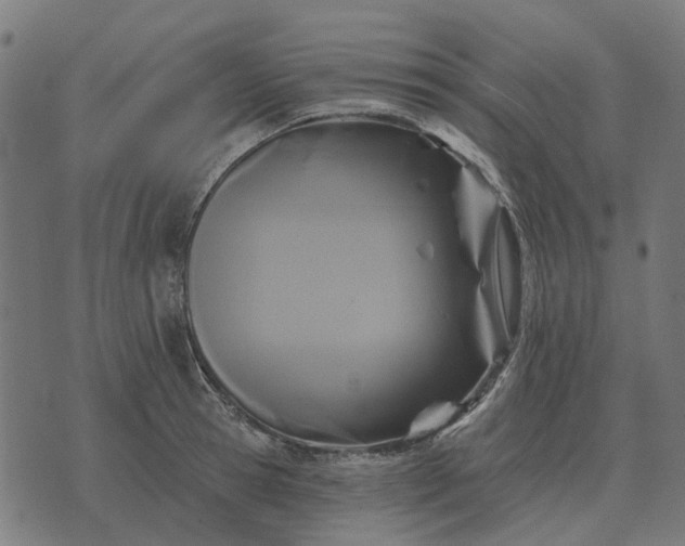 X0000070400945200606231759