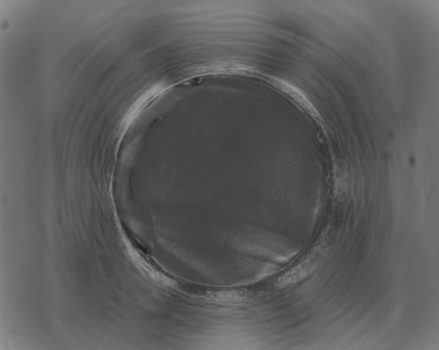 X0000070400946200606231759