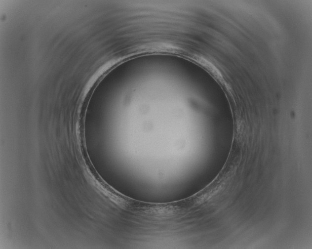 X0000070400947200606231759