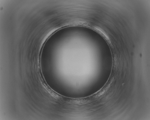 X0000070400948200606231759