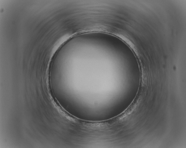 X0000070400949200606231759