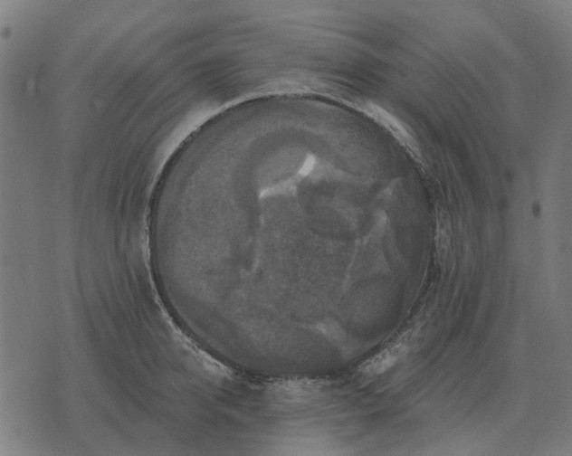 X0000070400950200606231759