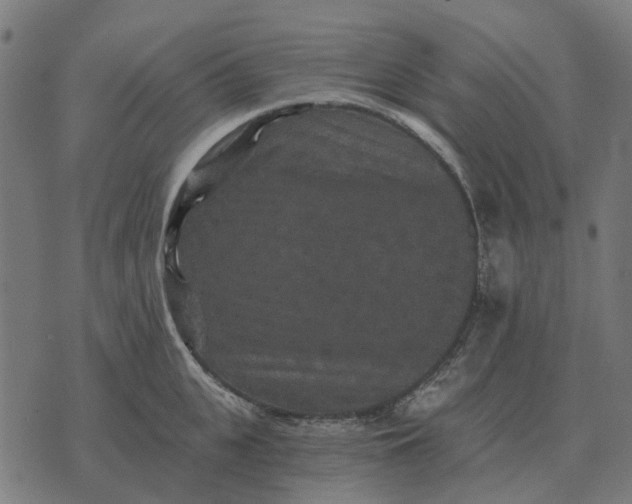 X0000070400951200606231759